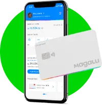 imagem do aplicativo magalupay no celular e cartão magalu cinza png